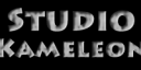 Logo KAMELEON.jpg1