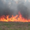 Duże ryzyko pożarów w lasach