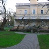 Park Sokoła: drzewo rozpadło się na pół