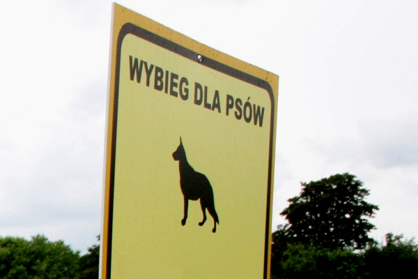 Mieszkańcy wnioskują o wybieg dla psów